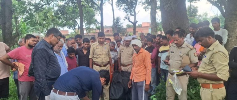 Screenshot_20241008-203137_Gmail